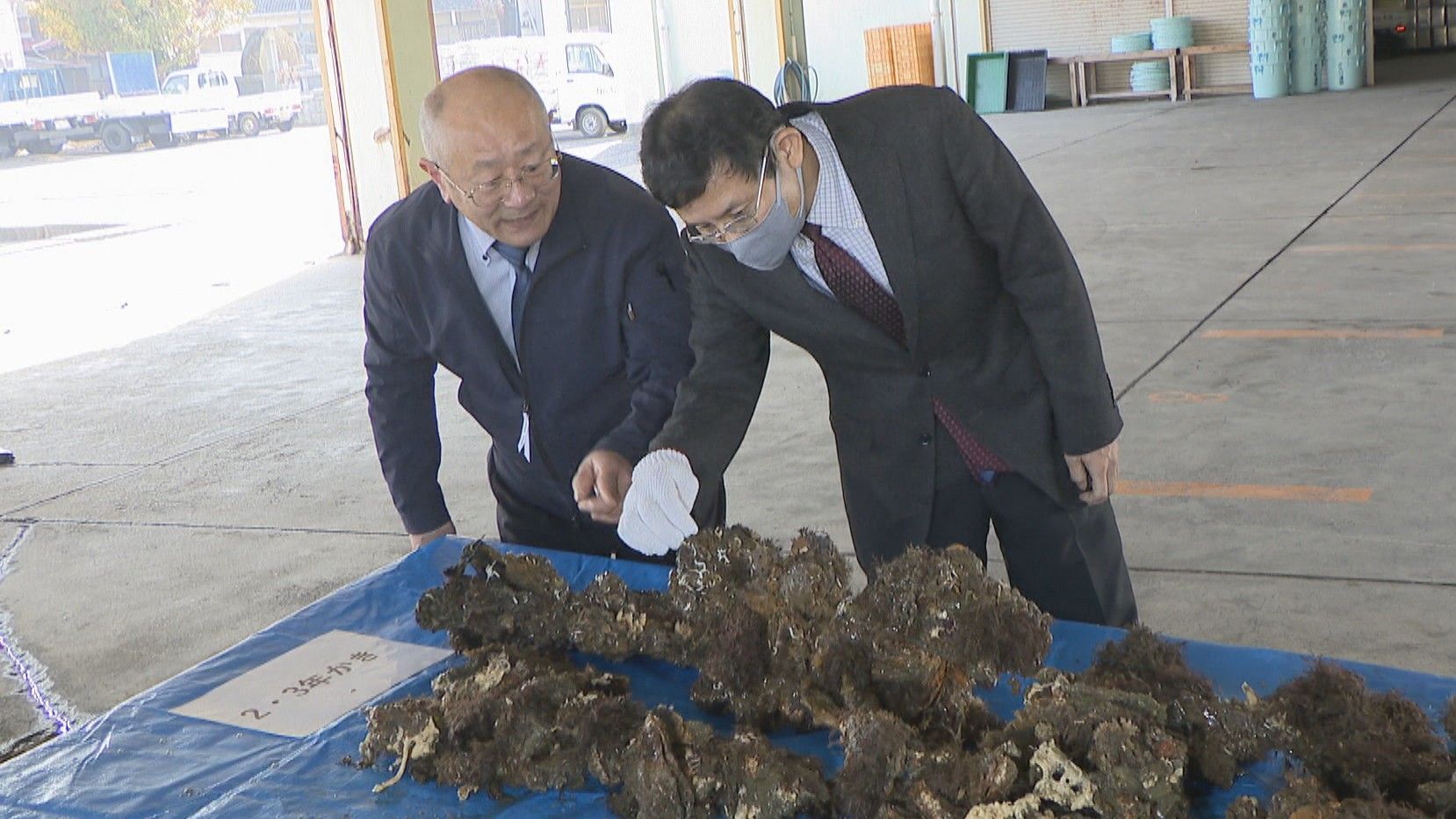瀬戸内海のカキ大量死 水産庁長官が岡山の生産者から現状や支援要望を