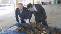 瀬戸内海のカキ大量死　水産庁長官が岡山の生産者から現状や支援要望を聞き取り