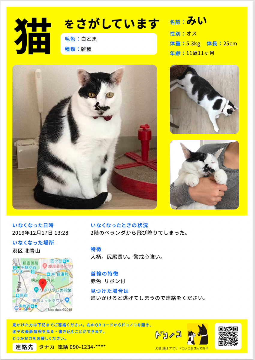 迷子掲示板を立ち上げると、登録したプロフィールからチラシが自動作成される（画像提供＝ドコノコ）