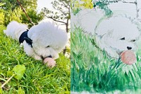 朝散歩のあと、お母さんが早速描いたパポくん（画像提供：形が定まらない犬さん）