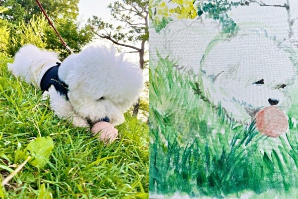 朝散歩のあと、お母さんが早速描いたパポくん（画像提供：形が定まらない犬さん）