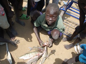 ナイル川は豊かなのか？　釣り人的な視点で眺めてみた