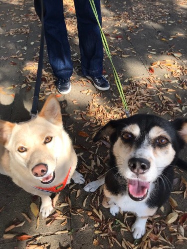 この日は仲良しの犬うるる（左）と一緒！表情が生き生き（千恵子さん提供）