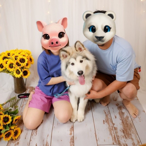 ママ、パパと一緒にパシャリ！ 嬉しそうなフブキくん（画像提供：アラスカンマラミュート フブキさん）