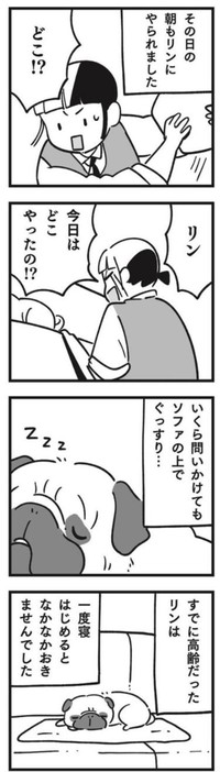 【漫画】『犬が伝えたかったこと（リン）』9（しろやぎ秋吾さん提供）