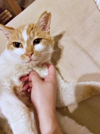 飼い主さんに甘えるカランちゃん（画像提供：かもぴさん）