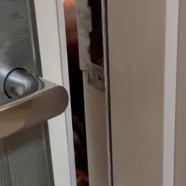 ドアの隙間に差し込まれた「お手て」（動画からキャプチャー／提供：パクもりさん）