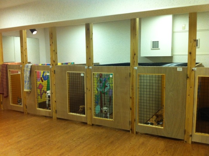 ケージにお引っ越ししてきた犬たち