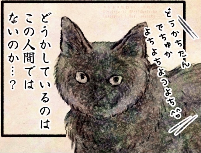 デレている人に対してツッコミを入れるクロネコ様　©Uguisu Utako