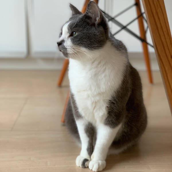 くまお「１年間、ご愛読ありがとうございました」