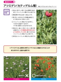 厚生労働省が発表している「大麻・けしの見分け方」。街中で見つけたら、保健所や警察に連絡を（厚生労働省のホームページから）