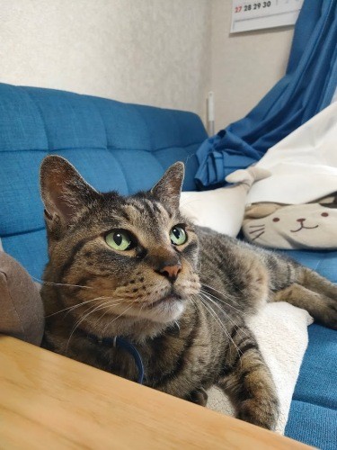 「このリビングと隣の部屋でだいたい過ごしているよ」（信之さん提供）