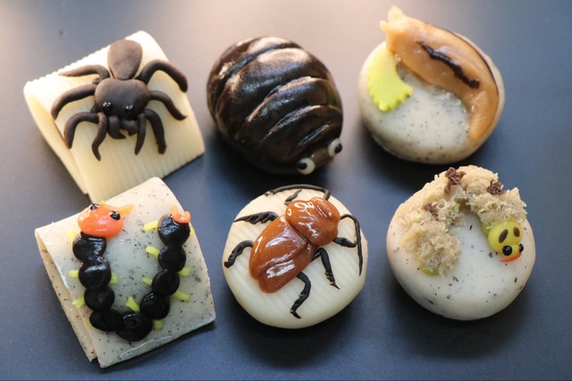 これまで即完売したというゲテモノシリーズ（御菓子司 長盛堂提供）