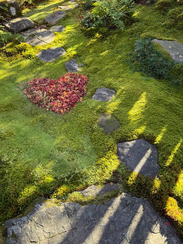落ち葉で作ったハートマーク、苔庭に映えますね（画像提供：高台寺岡林院さん）