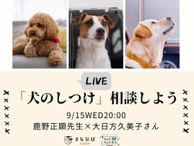 【9月15日20時～】犬のしつけを相談しよう　専門家に聞けるオンラインライブ