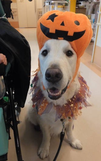 似合う？　ハロウィンには、こんなコスプレ姿も