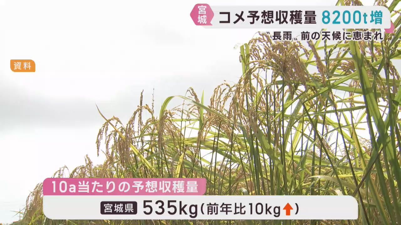 米の予想収穫量　宮城県は３５万１０００トン　前年より増加　