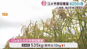 米の予想収穫量　宮城県は３５万１０００トン　前年より増加　