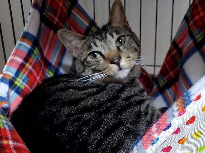 今もハンモックが好き。体重は何倍にもなりました