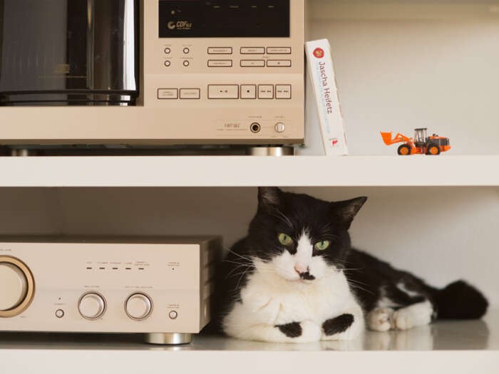 「マイクはどこ？僕の歌声、披露するよ」（小林写函撮影）