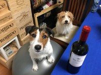 シャーロットちゃんとワイン