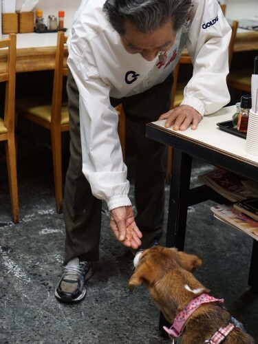 お店で甲田さんのお父さんにおやつをもらっています