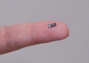 牛乳から牛の体調をかぎ分ける　超小型においセンサーの可能性　最終目標は「世界平和」?