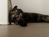 予想外にリラックス