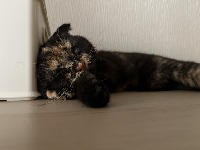予想外にリラックス