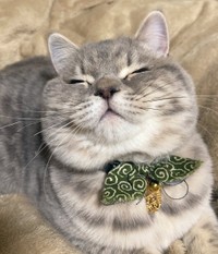 いっぱい遊んでもらってご満悦＝いわし先生（@IWASHI_0723）さん提供