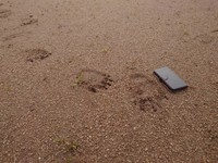 白岩孝夫南陽市長(@TakaoShiraiwa)のXより