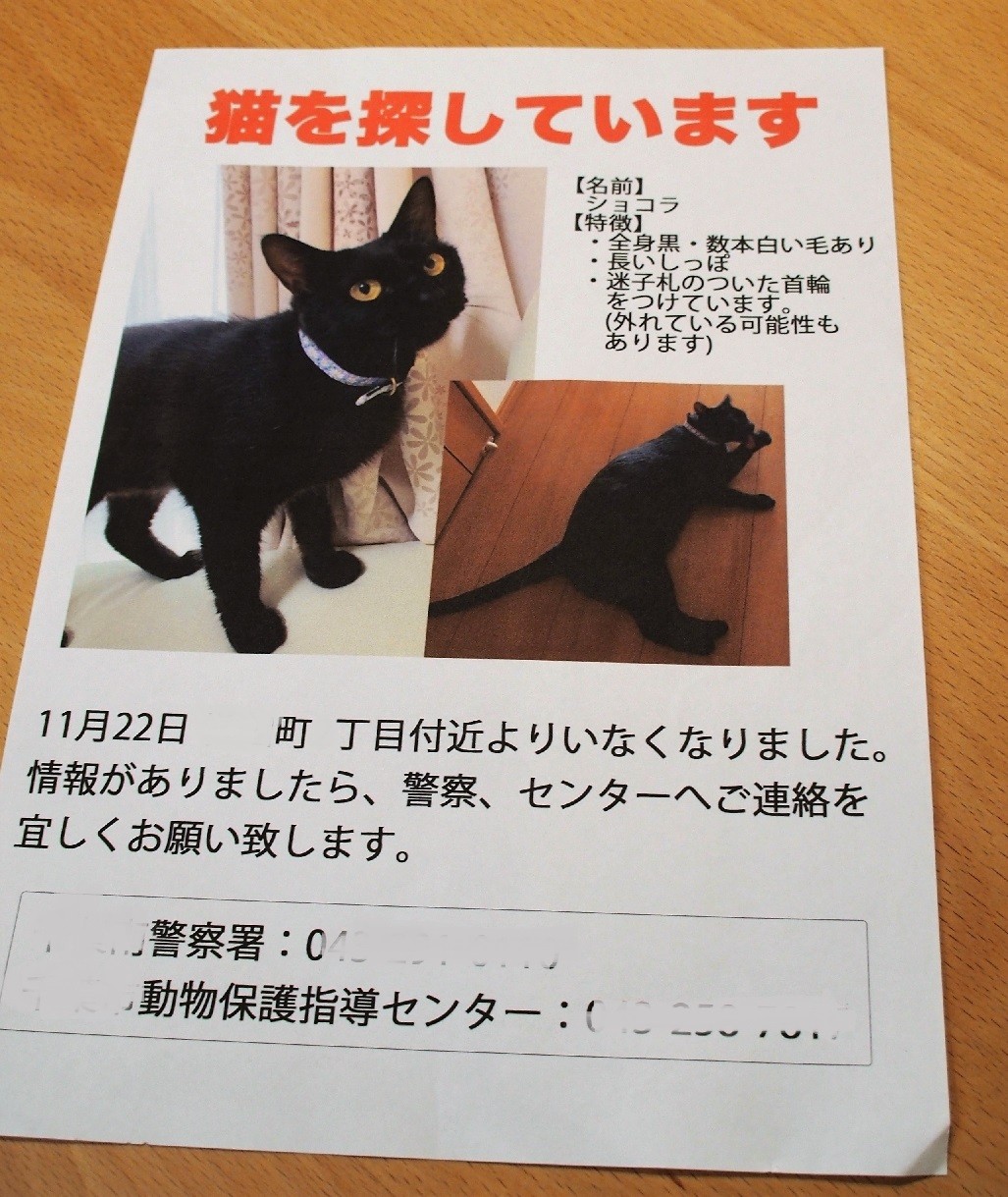 goensで作った捜索チラシ