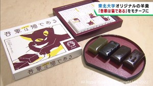 吾輩は羊羹好な猫である　東北大学と老舗和菓子店が夏目漱石にちなんだようかんを発売