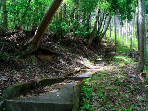 何のために頑張った？自分に投げた疑問から紐とく人生の歩き方