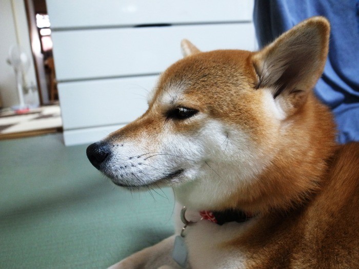 初対面でも落ち着いていられます