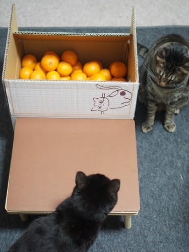 天板とテーブルの間に布をおけば…