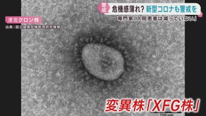 新型コロナの入院患者　ピーク時と比べても減らず　専門家が警戒を呼び掛け