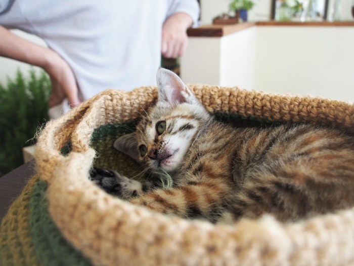 千恵さん手編みの麻糸の猫ベッド