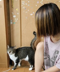 被災から1か月。ようやく再会できたシーソーくんとご家族