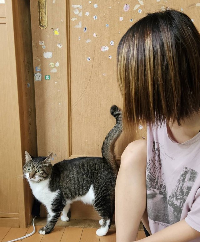 被災から1か月。ようやく再会できたシーソーくんとご家族