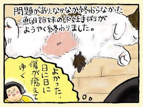 魚卵猫姉妹の不妊手術　ダンナの乱れぶりに将来が不安になる