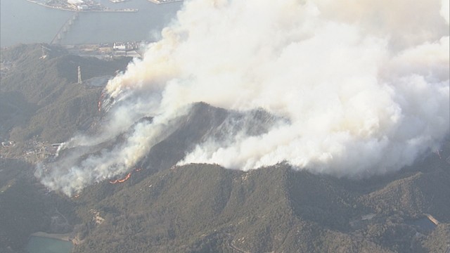 3月に発生した山火事　岡山・南区 