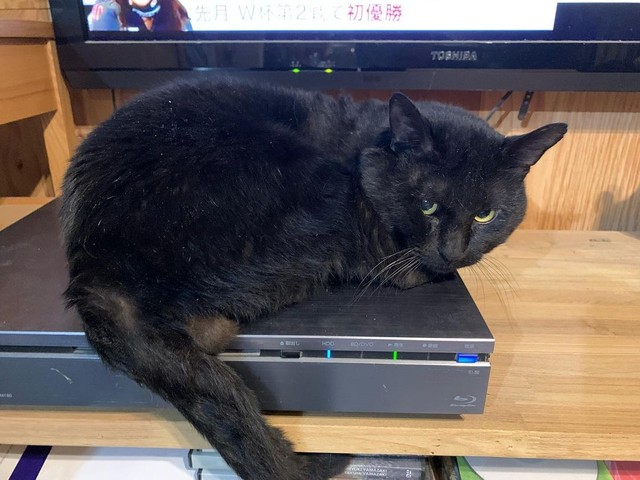 デッキの温もりがちょうどいい