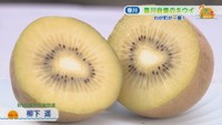 さぬきゴールド