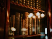 千年前を生きる彼女の筆が遺してくれたのは、わたしたちの強いところ