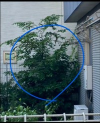 （海好き大家さん提供）
