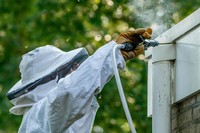 危険なときは迷わずプロに依頼しましょう※画像はイメージです（otterspeer.com Stock/stock.adobe.com）