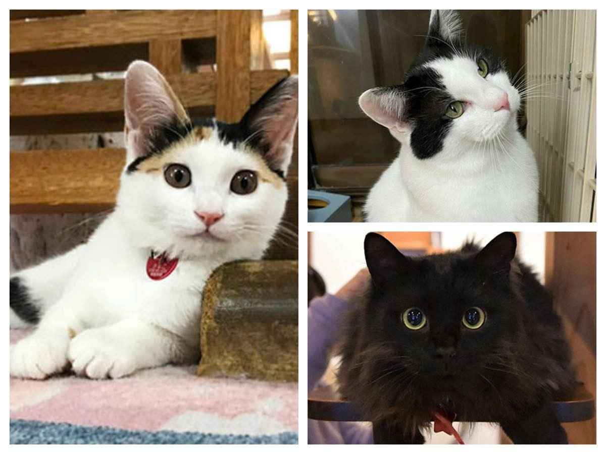 655e6e1b24b41f81e8df5f89e22899