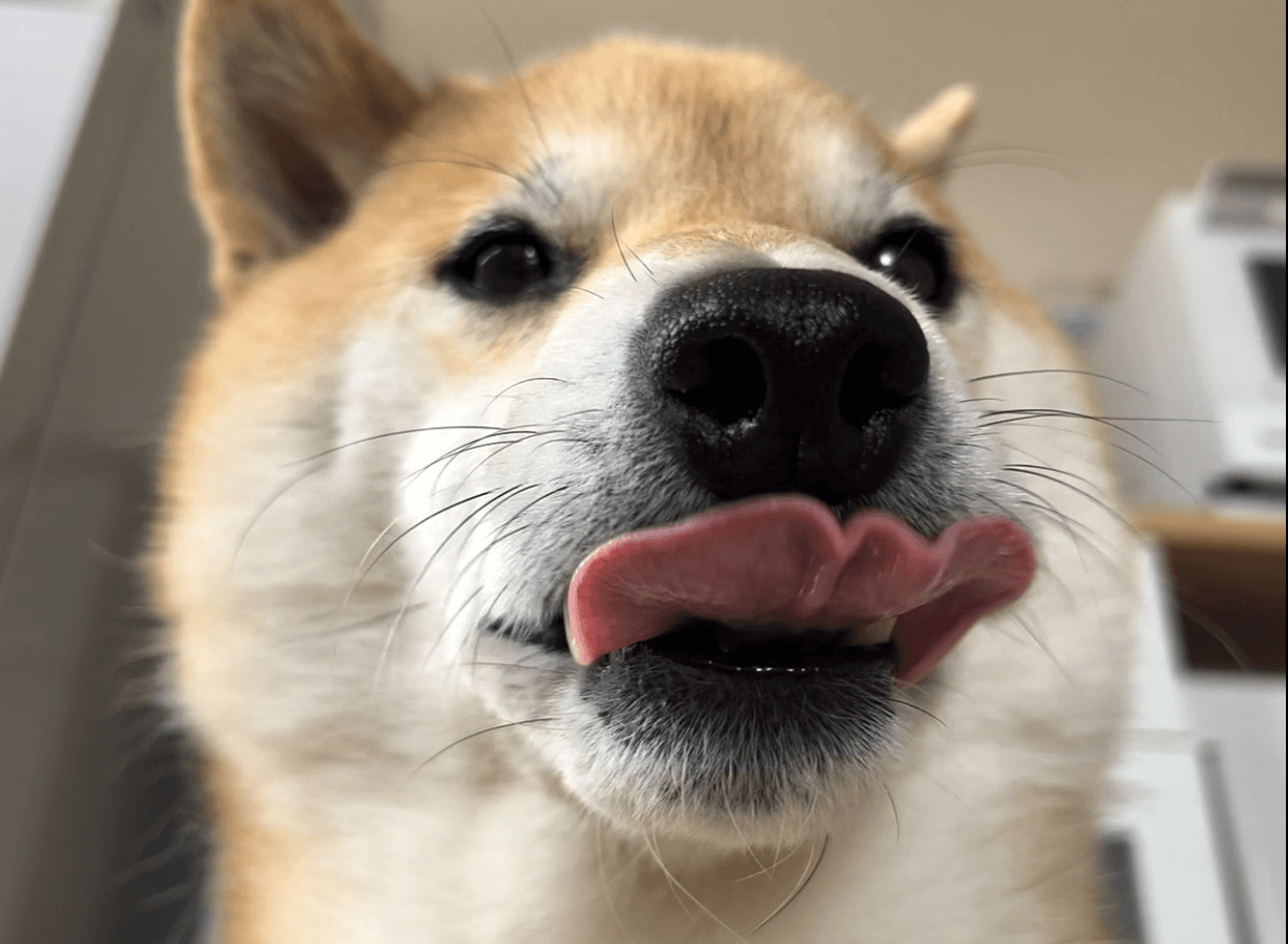 ペロリ！くいしんぼうのふう太くん