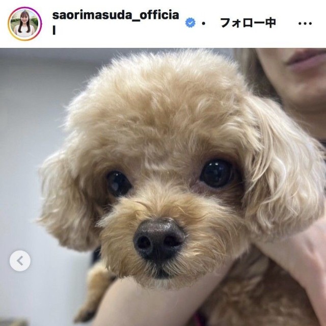 増田紗織アナウンサーのインスタグラム＠saorimasuda_officialより